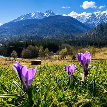 Enklawa Polany - Scenic Mountain View Retreat With Natural Pool By Downtown Apartment Kościelisko